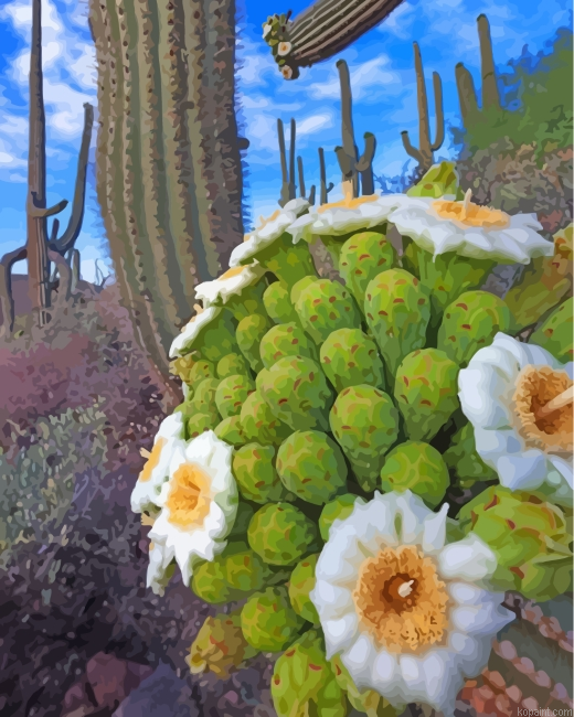 Aesthetic Cactus Painting By Numberss.png