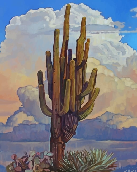 Aesthetic Cactus Plant New Painting By Numberss.png