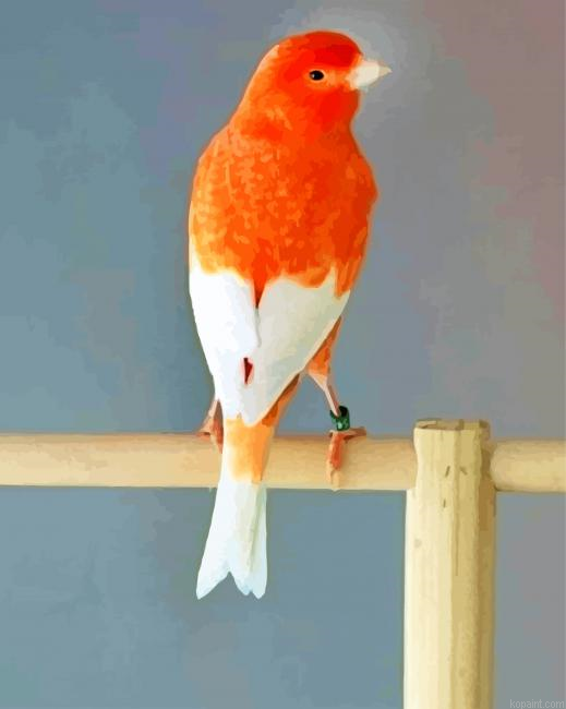 Aesthetic Canary Bird Paint By Numbers