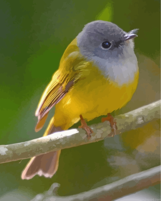 Aesthetic Canary Painting By Numberss.png