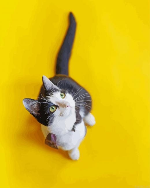 Aesthetic Cat Yellow Wall Painting By Numberss.png