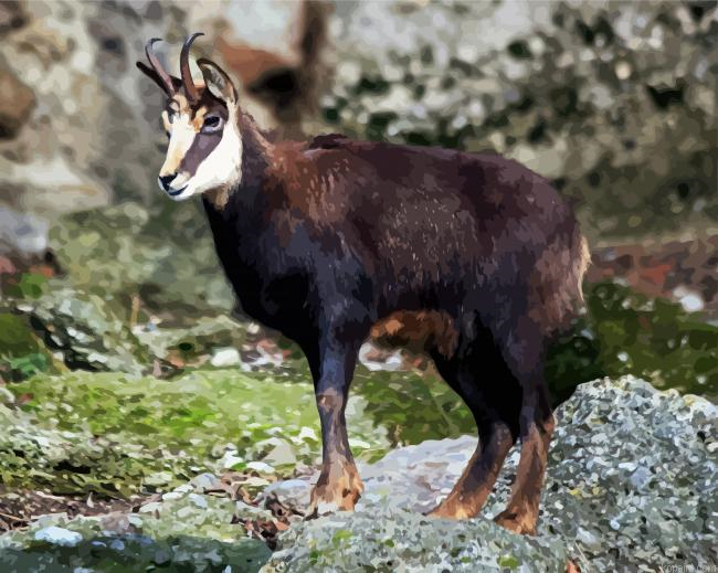 Aesthetic Chamois Painting By Numberss.png