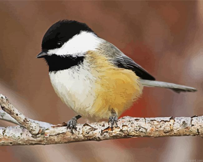 Aesthetic Chickadee Painting By Numberss.png