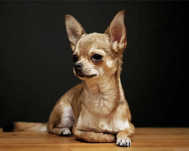 Aesthetic Chihuahua Dog Painting By Numberss.png