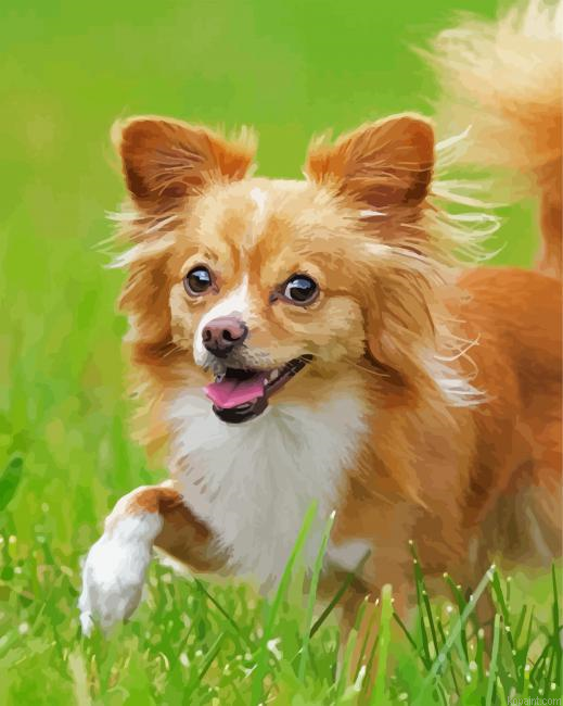 Aesthetic Chihuahua Painting By Numberss.png