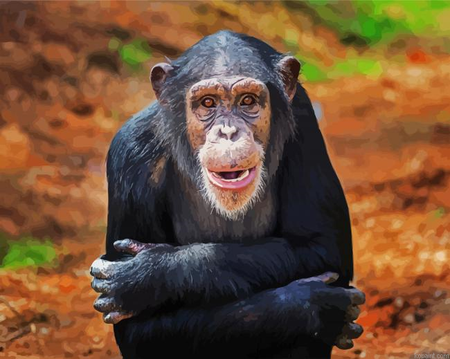 Aesthetic Chimpanzee Painting By Numberss.png