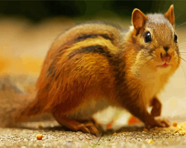 Aesthetic Chipmunk Painting By Numberss.png
