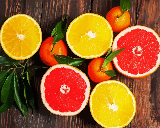 Aesthetic Citrus Fruits Painting By Numberss.png