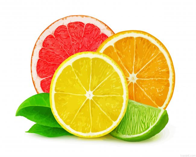 Aesthetic Citrus Painting By Numberss.png
