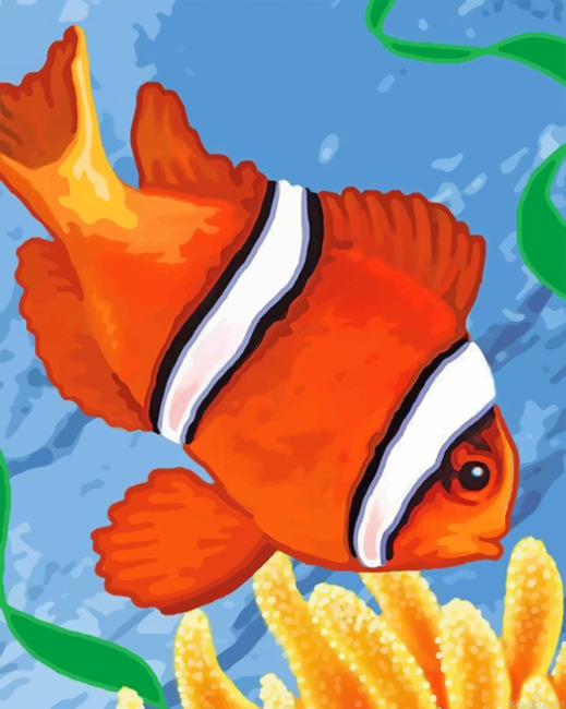 Aesthetic Clown Fish Painting By Numberss.png