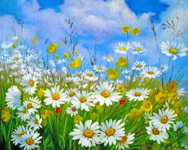 Aesthetic Daisy Field Painting By Numberss.png