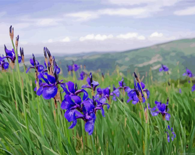 Aesthetic Field Of Iris Painting By Numberss.png