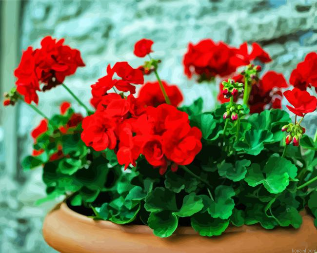 Aesthetic Geraniums Flowers Painting By Numberss.png