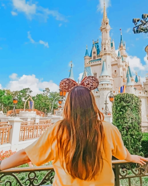 Aesthetic Girl In Disney Painting By Numberss.png