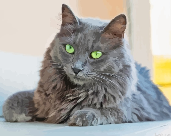 Aesthetic Grey Kitty Paint By Numbers
