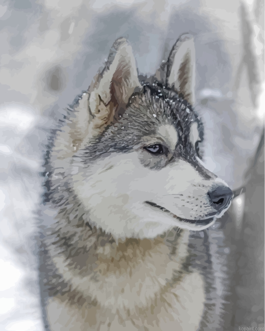 Aesthetic Husky And Snow Painting By Numberss.png