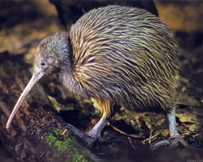 Aesthetic Kiwi Bird Painting By Numberss.png