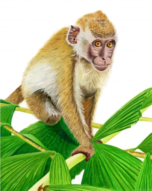 Aesthetic Macaque Painting By Numberss.png