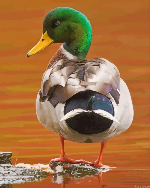 Aesthetic Mallard Painting By Numberss.png