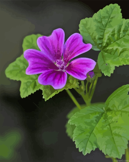 Aesthetic Mallow Painting By Numberss.png