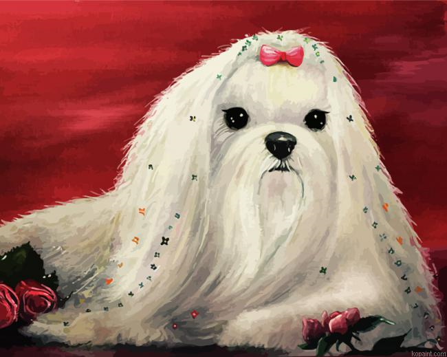 Aesthetic Maltese Dog Painting By Numberss.png