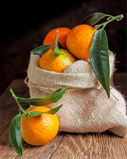 Aesthetic Mandarine Paint By Numbers