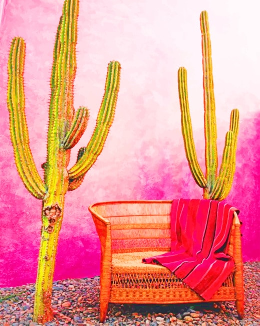Aesthetic Mexican Pink Wall New Painting By Numberss.png