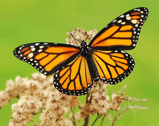 Aesthetic Monarch Butterfly Painting By Numberss.png