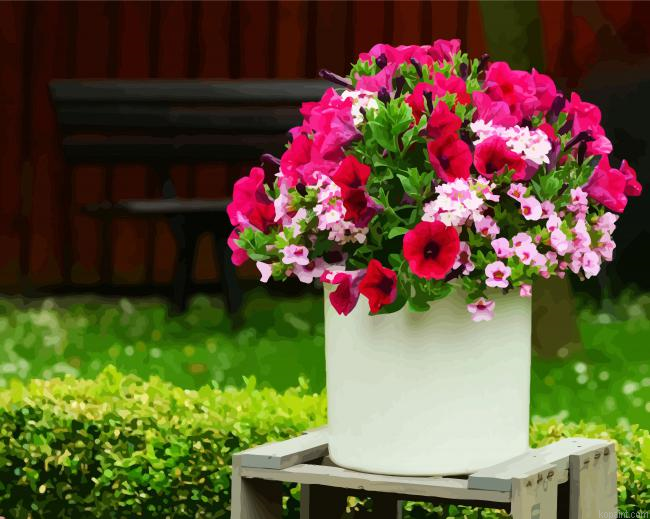 Aesthetic Petunias Flowers Paint By Numbers