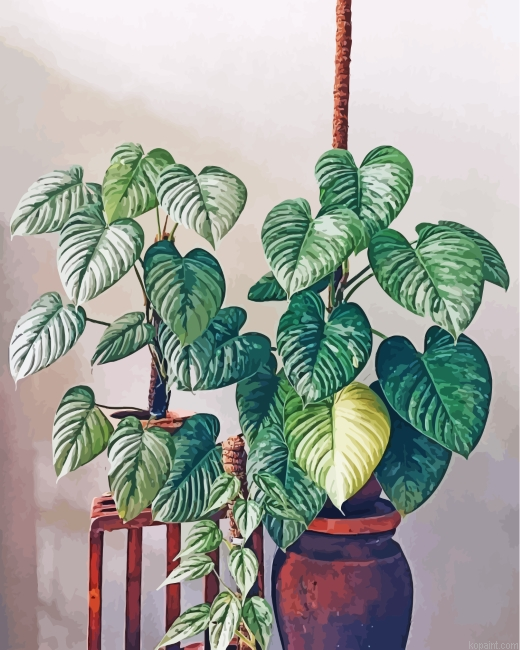 Aesthetic Philodendron Painting By Numberss.png