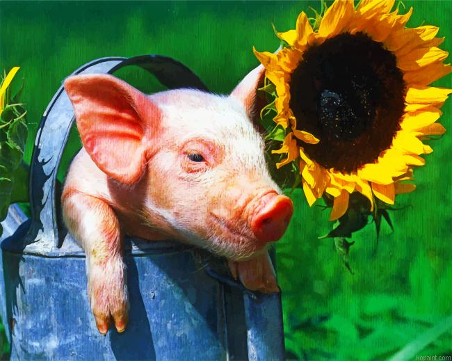 Aesthetic Pig And Sunflower Painting By Numberss.png