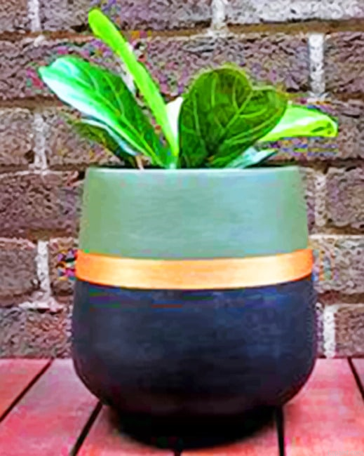 Aesthetic Plant Decors Painting By Numberss.png