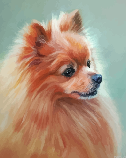 Aesthetic Pomeranian Dog Painting By Numberss.png