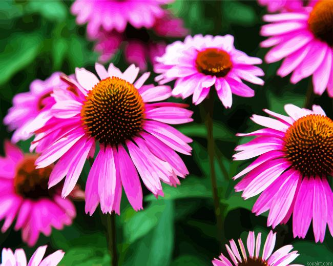 Aesthetic Purple Coneflower Painting By Numberss.png
