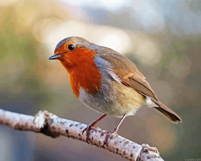 Aesthetic Robin Bird Painting By Numberss.png