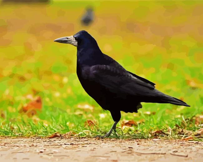 Aesthetic Rook Bird Animal Painting By Numberss.png