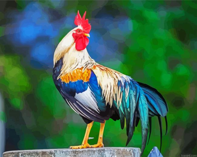 Aesthetic Rooster Painting By Numberss.png