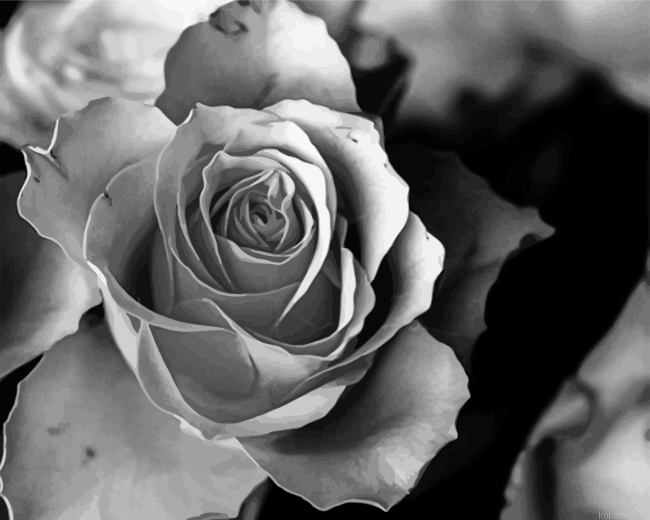 Aesthetic Rose Painting By Numberss.png