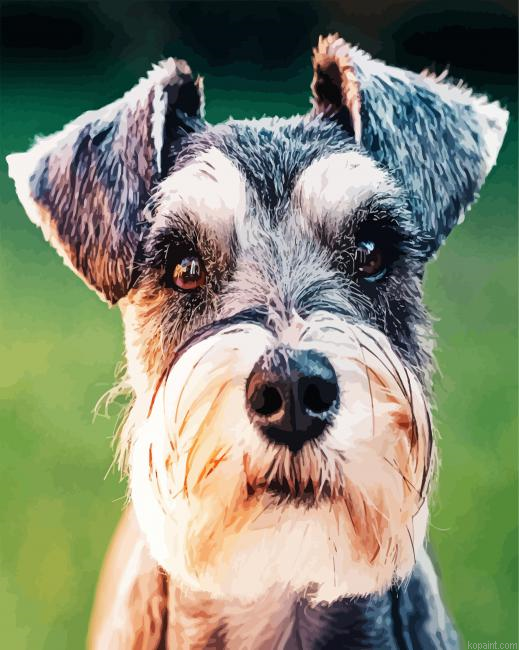 Aesthetic Schnauzer Painting By Numberss.png