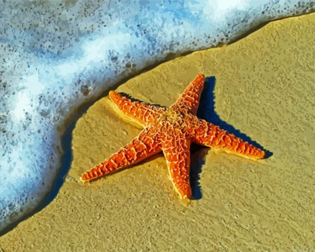 Aesthetic Sea Star Painting By Numberss.png
