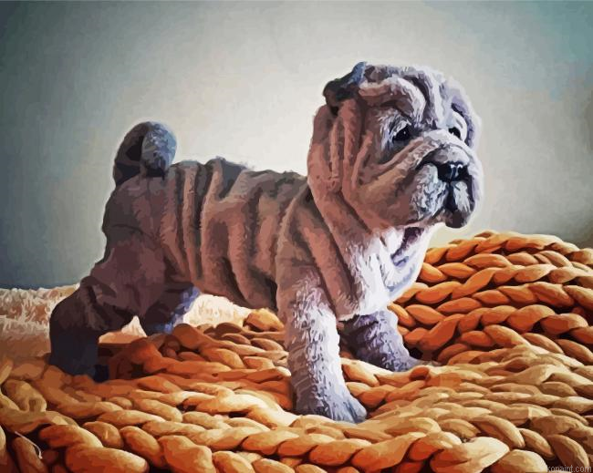 Aesthetic Sharpei Painting By Numberss.png