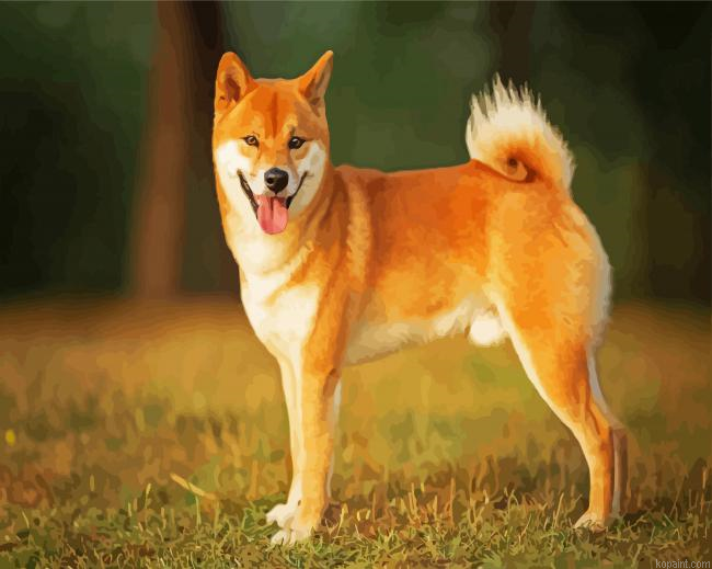 Aesthetic Shiba Inu Painting By Numberss.png