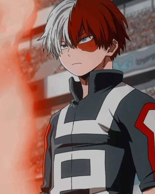 Aesthetic Shoto Todoroki New Painting By Numberss.png