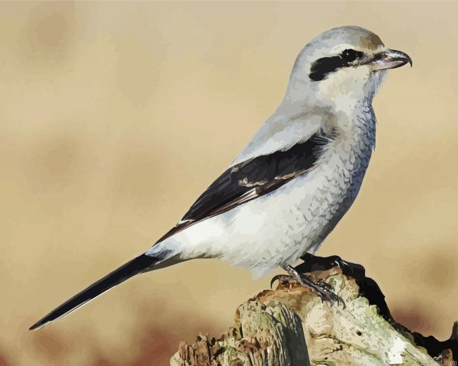 Aesthetic Shrike Painting By Numberss.png