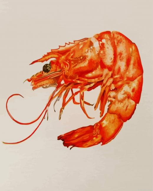 Aesthetic Shrimp Painting By Numberss.png