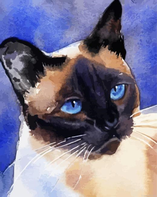 Aesthetic Siamese Cat Illustration Painting By Numberss.png