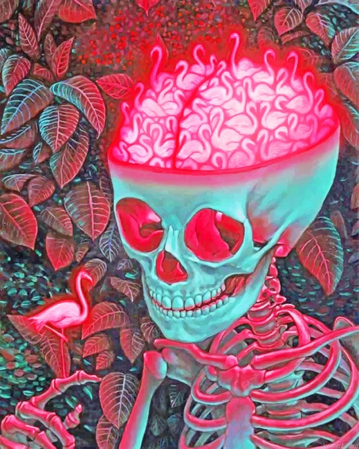 Aesthetic Skull Painting By Numberss.png