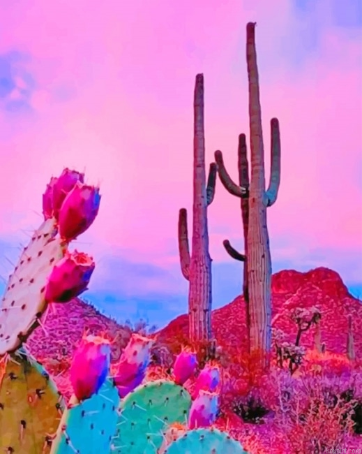 Aesthetic Sky Cactus New Painting By Numberss.png