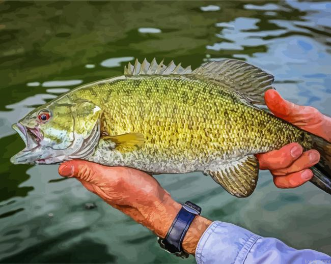 Aesthetic Smallmouth Fish Painting By Numberss.png