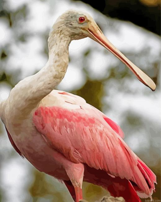 Aesthetic Spoonbill Painting By Numberss.png